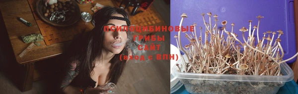 стаф Ладушкин