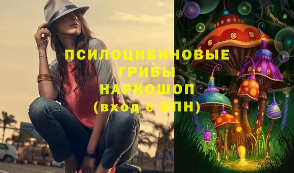 стаф Ладушкин